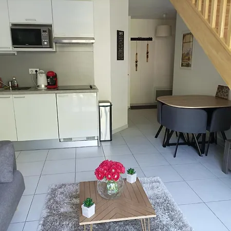 Apartament La Pepite Bagnères-de-Luchon
